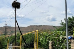 RemasterDirector_18da6b0cf