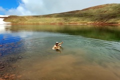 RemasterDirector_18da6b0cf