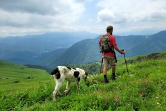 RemasterDirector_18da6b0cf