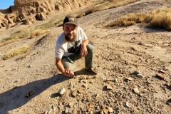 RemasterDirector_18da6b0cf