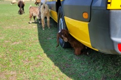 RemasterDirector_18da6b0cf