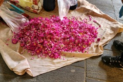 RemasterDirector_18da6b0cf