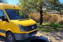 RemasterDirector_18da6b0cf