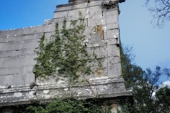 RemasterDirector_18da6b0cf